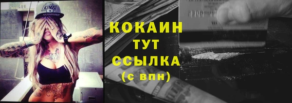 гидра Богородицк
