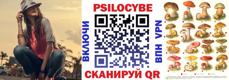 Псилоцибиновые грибы мицелий  где купить   Норильск 