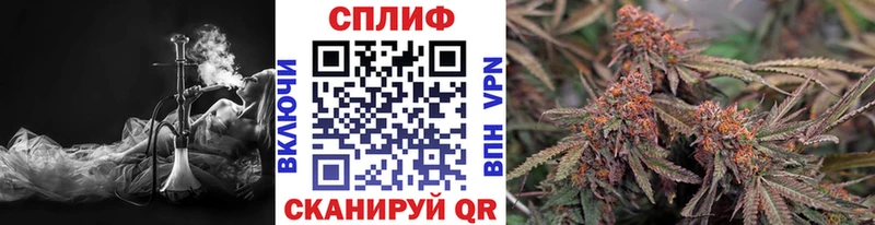 Бошки Шишки конопля  где купить наркоту  Норильск 